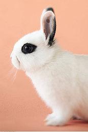 《觉醒者：遗忘之誓》Steam解锁时间公布 定价58元